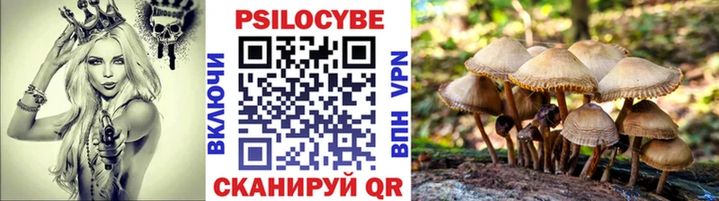 цена наркотик  Кондрово  Псилоцибиновые грибы Cubensis 
